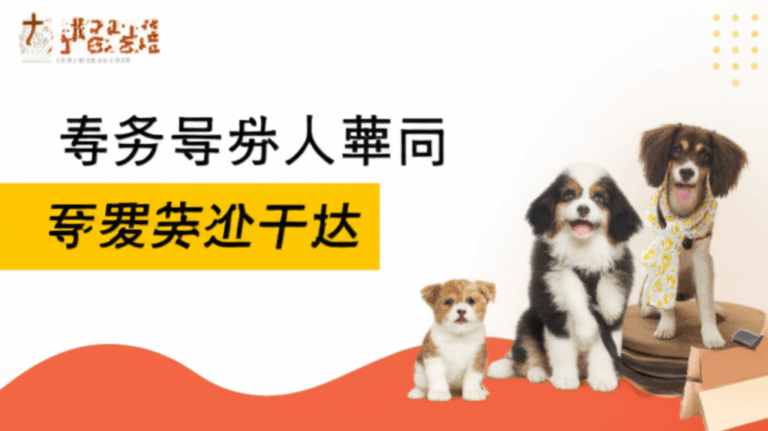 生態觀察3/4：打造你的第一場直播：設備、腳本與流程全攻略