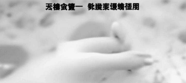 行銷策略2/4：頂級 Vtuber 破圈行銷案例解析（演唱會／聯動／話題操作）