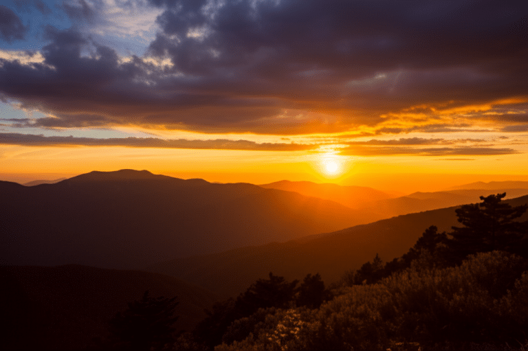 觀眾精選4/4：人氣角色年度回顧與未來展望特輯
